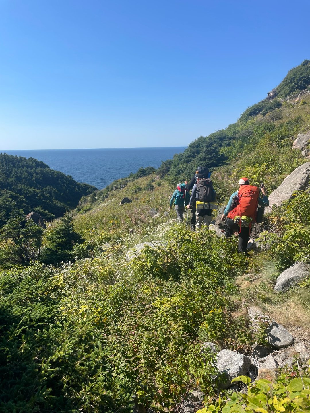 Hikers with backpacks traversing a green coastal slope high above the open ocean